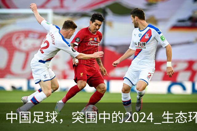 中国足球，突围中的2024 生态环境将实现好转